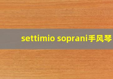 settimio soprani手风琴